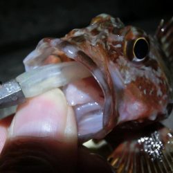 気候は良かったが