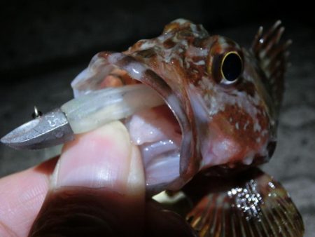 気候は良かったが