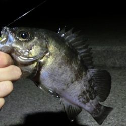 爆風大荒れの中の釣果