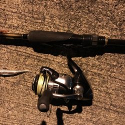 ボーズストップ