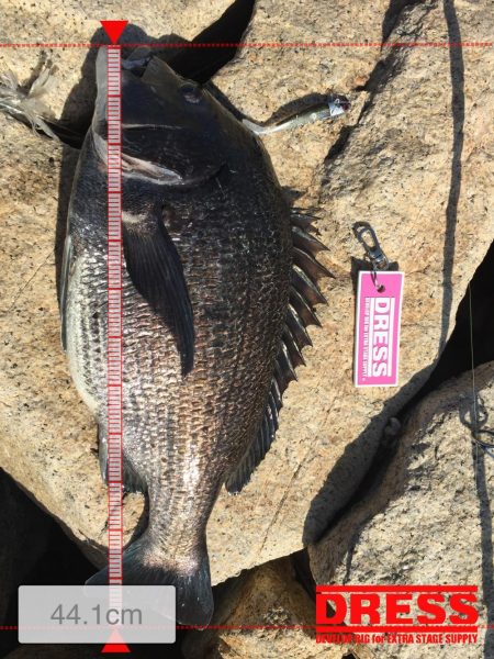 リベンジに来た