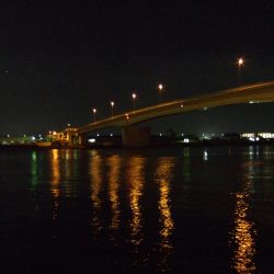 寒さのせいにしておきます(^-^;