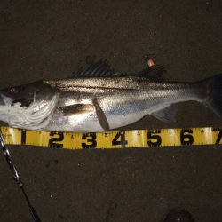 まだまだアフター居ます