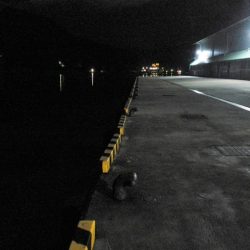 フッキングできず