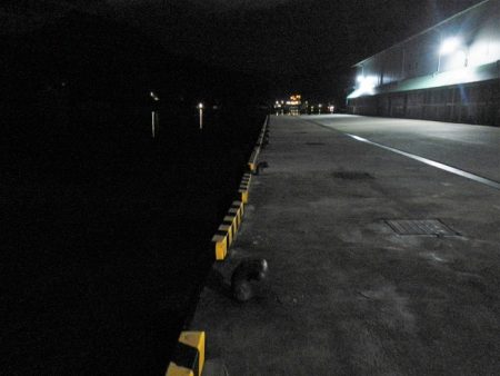 フッキングできず