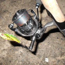 広範囲に散っている?(南港周辺シーバス釣行)