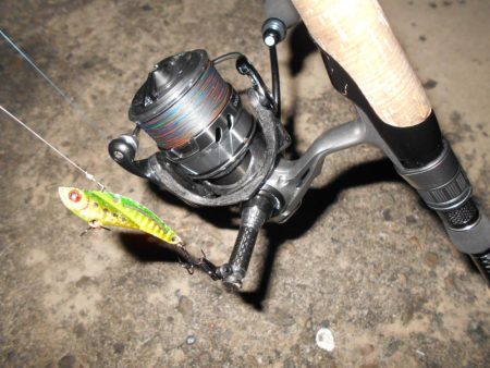 広範囲に散っている?(南港周辺シーバス釣行)