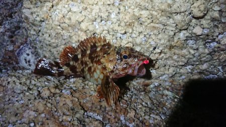 仕事終わりメバリング