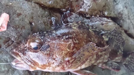 釣りを許された時間で