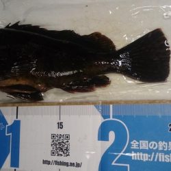 まづめのみ短時間