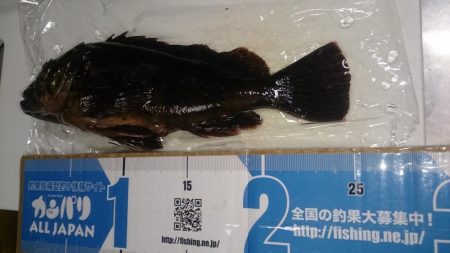 まづめのみ短時間