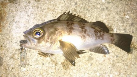 放置プレイがお好き？