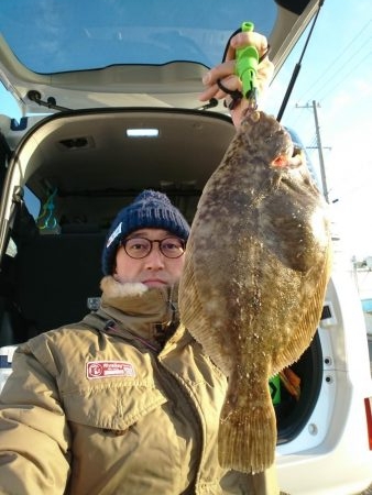 花見ガレイ(戻りガレイ)