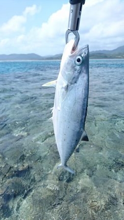 西表島リーフエンド