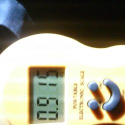 今週も同じ場所で！