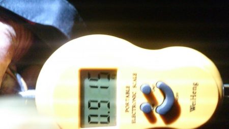 今週も同じ場所で！