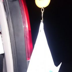 早朝の満潮からの下がりかけに！