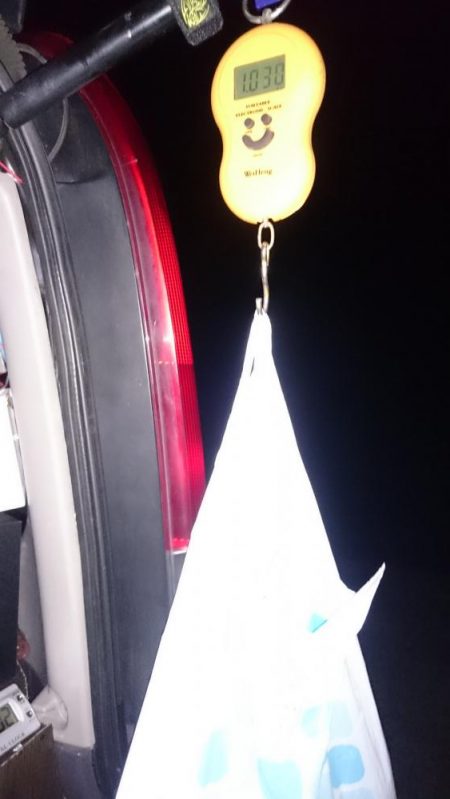 早朝の満潮からの下がりかけに！