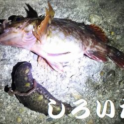 ウキが沈むと楽しい。