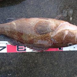 徳島県南タイラバ&ライトジギング