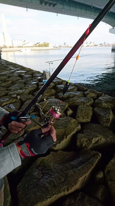 えび撒きシブシブ