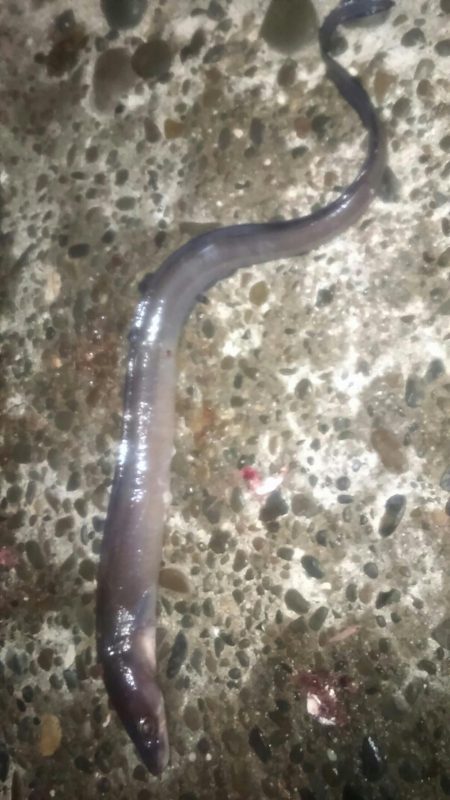 宇和島遠征　最終日