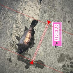 マイクロワインド