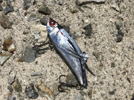 スズキゲット！