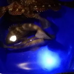 冬のような寒さ