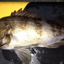 先週のリベンジ