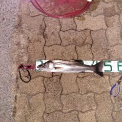 初めてのマルチ安打♪