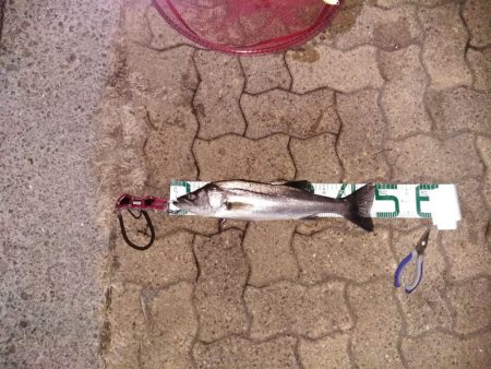 初めてのマルチ安打♪