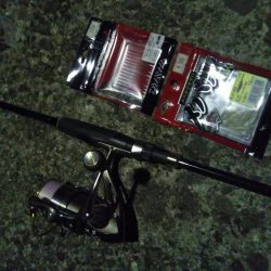 ガタイのいいメバル