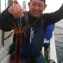 ヤリイカ狙い