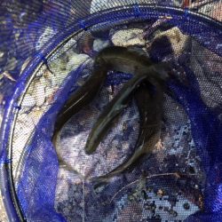 場所選びが大事