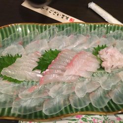 アジの泳がせで