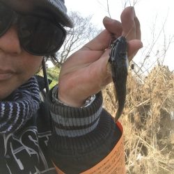 多摩川で鯉と沼チチブ釣りました。