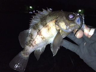 泉南サーフでリベンジ