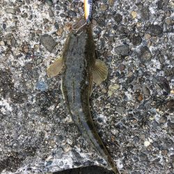 荒れた後はチャンスかと