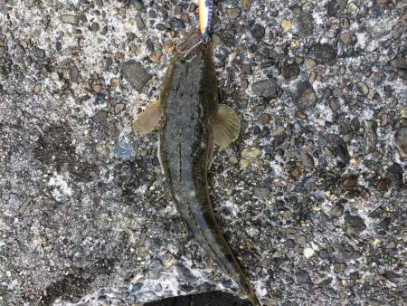 荒れた後はチャンスかと