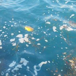 こんなん出ました・・・pt5