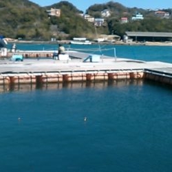 カタタの釣り掘りでカンパチ狙い