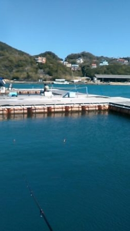 カタタの釣り掘りでカンパチ狙い