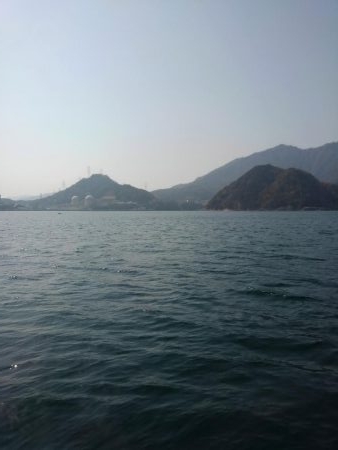 サゴシを横目に