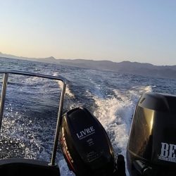 ジギング、ネギング