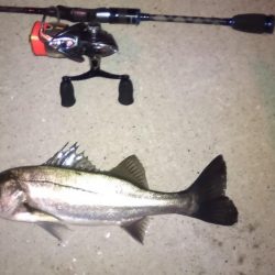 仕事おわりのショートゲーム