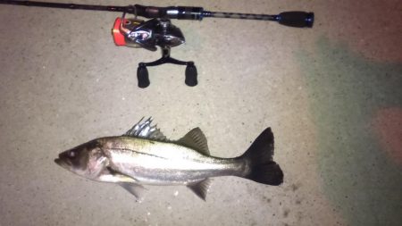 仕事おわりのショートゲーム