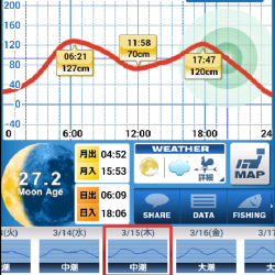 ホームでのシーバス調査