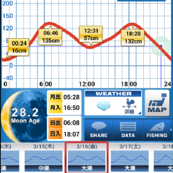 芦屋浜ロックフィッシュ調査