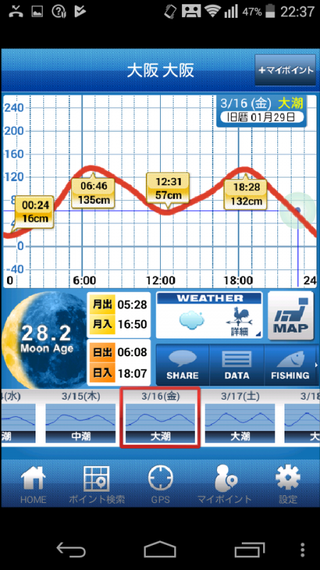 芦屋浜ロックフィッシュ調査